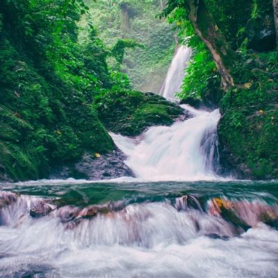 梦幻小镇中文破解版下载