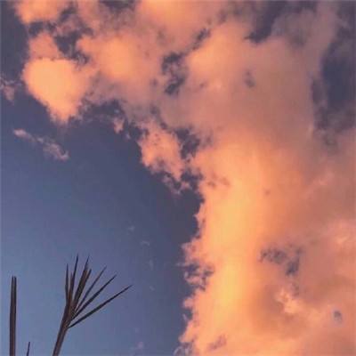 正义的汽车人游戏下载