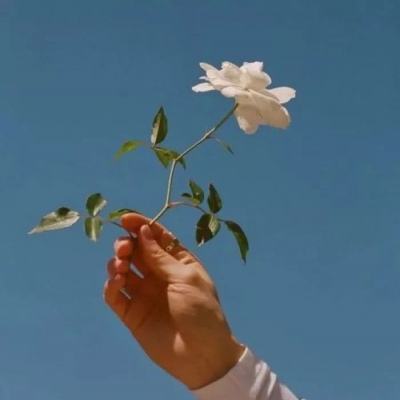 华夏火龙手游(暂未上线)v2.0.0 安卓免费版